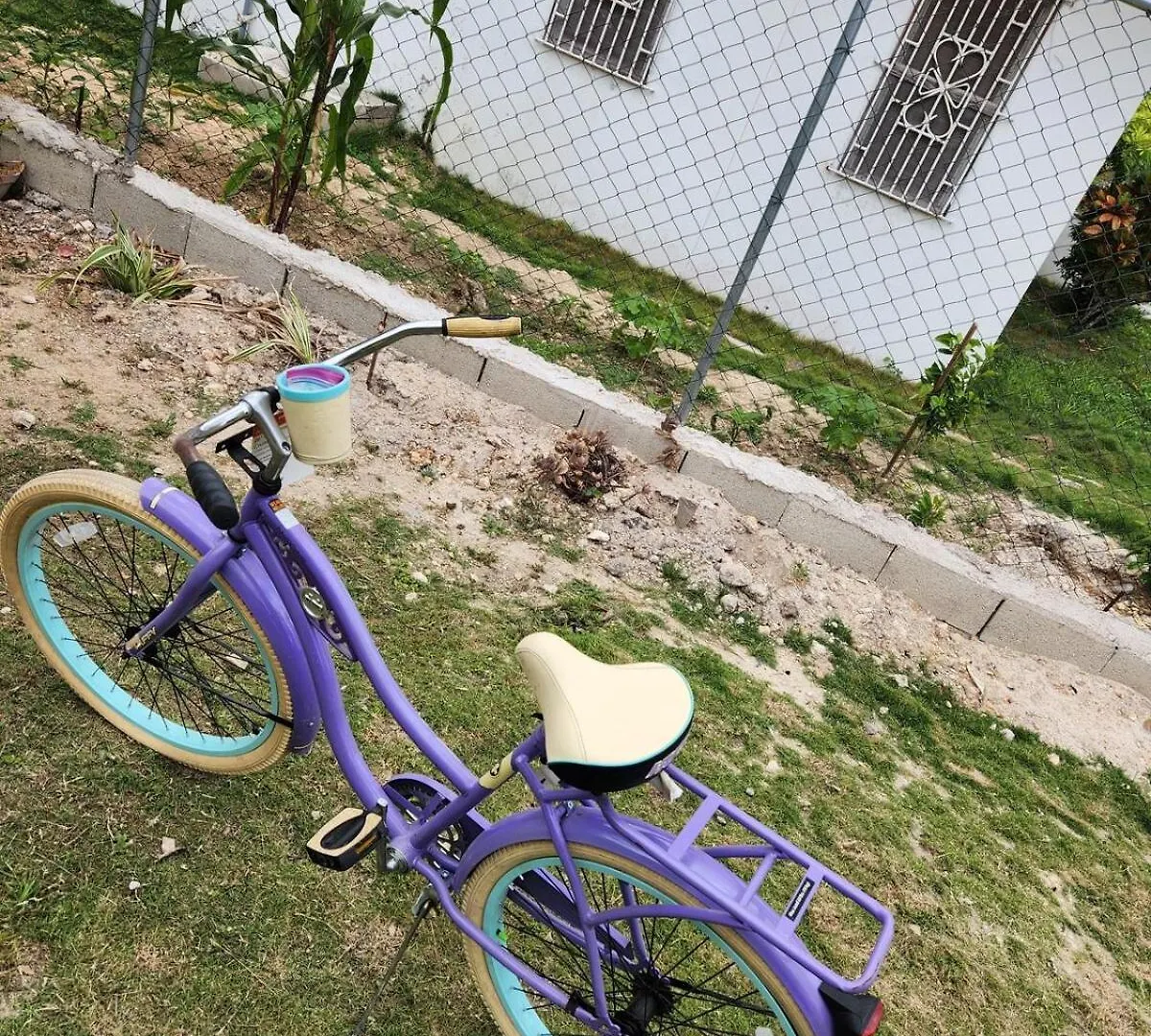 Appartamento Jade Coast Getaway Near Montego Bay